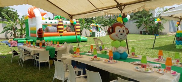 Espace GEMAS